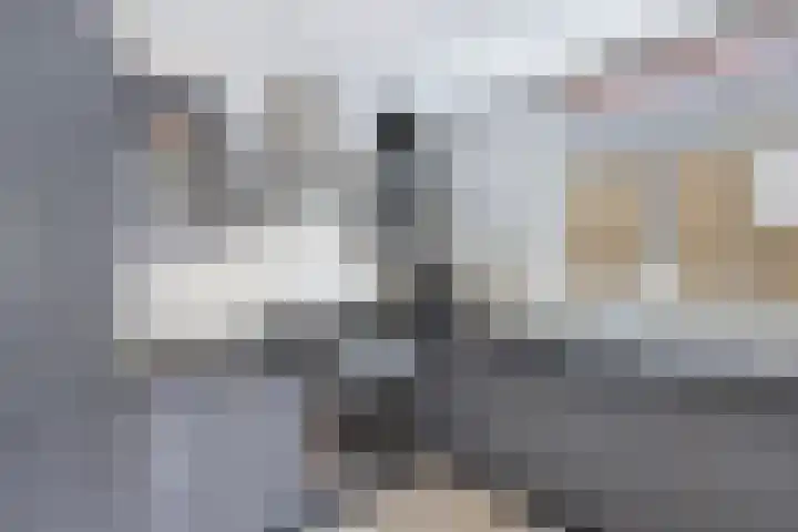 Uilenburg 30 IJlst thumbnail 15