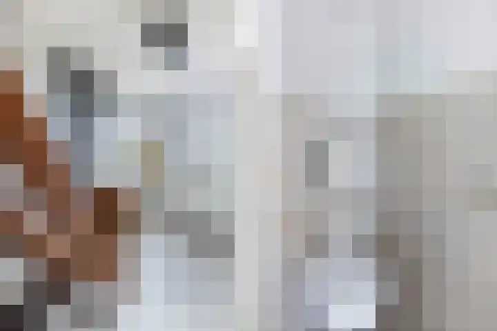 Uilenburg 30 IJlst thumbnail 24