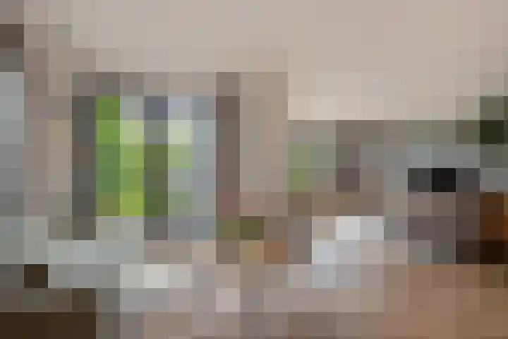 Uilenburg 30 IJlst thumbnail 34