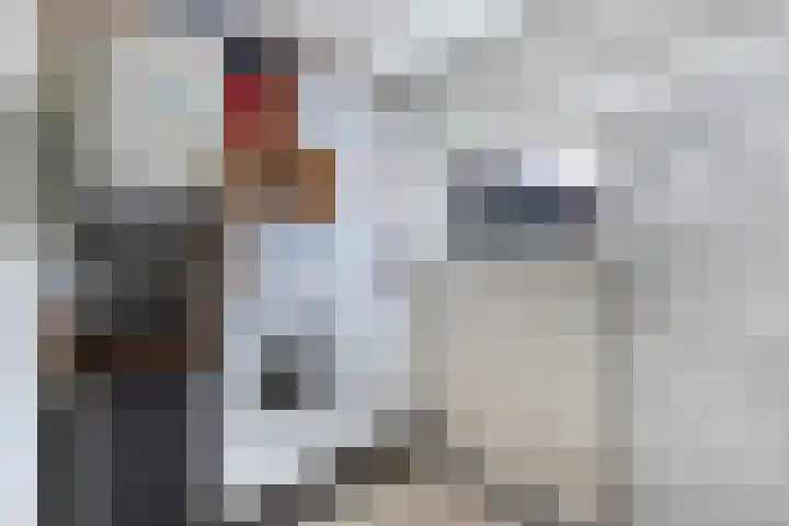 Uilenburg 30 IJlst thumbnail 39