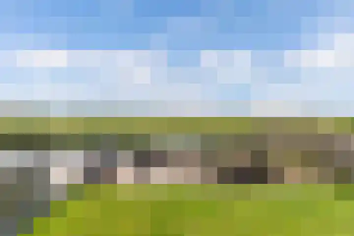 Uilenburg 30 IJlst thumbnail 46