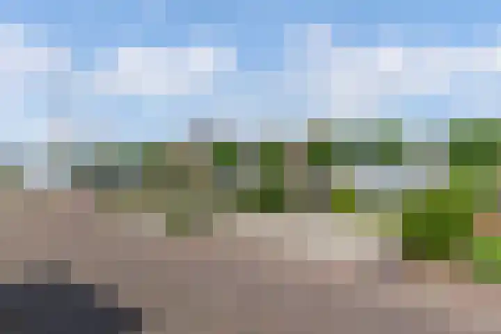 Uilenburg 30 IJlst thumbnail 50