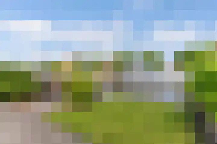 Uilenburg 30 IJlst thumbnail 51