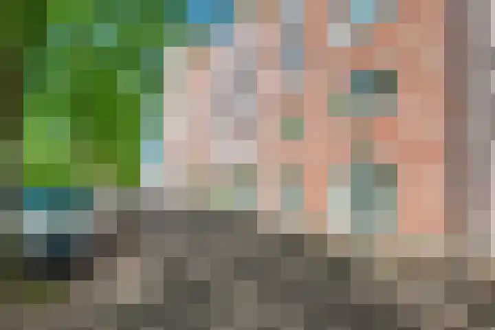 Uilenburg 30 IJlst thumbnail 6
