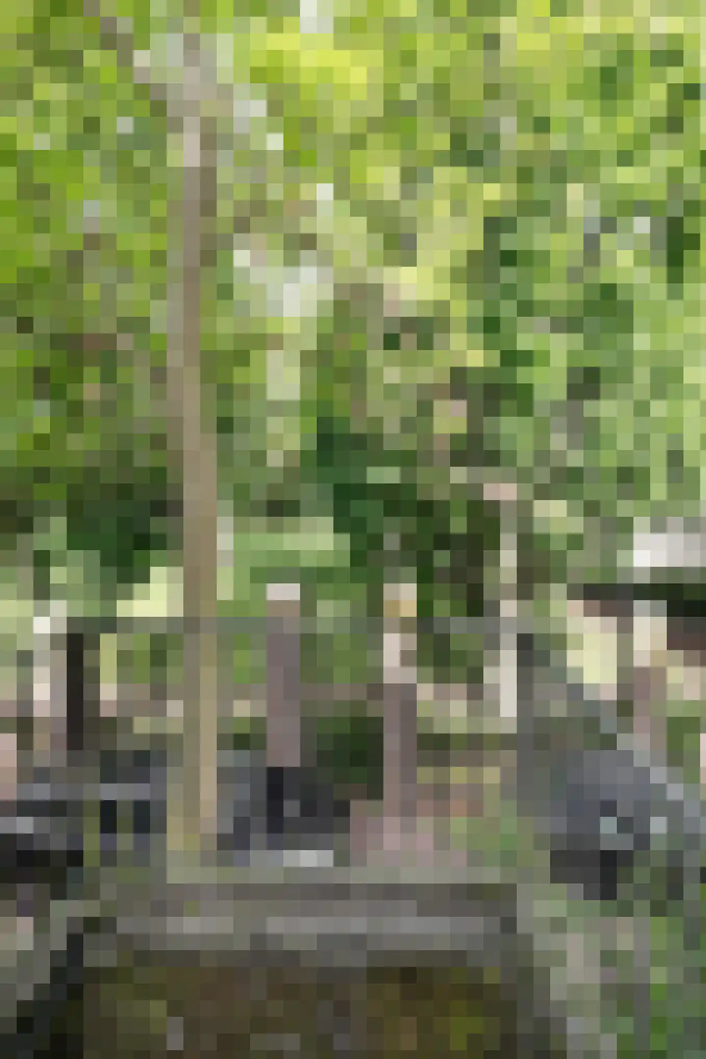 Uilenburg 32 's-Hertogenbosch thumbnail 25