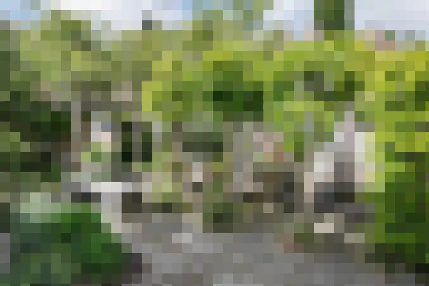 Uilenburg 32 's-Hertogenbosch thumbnail 46