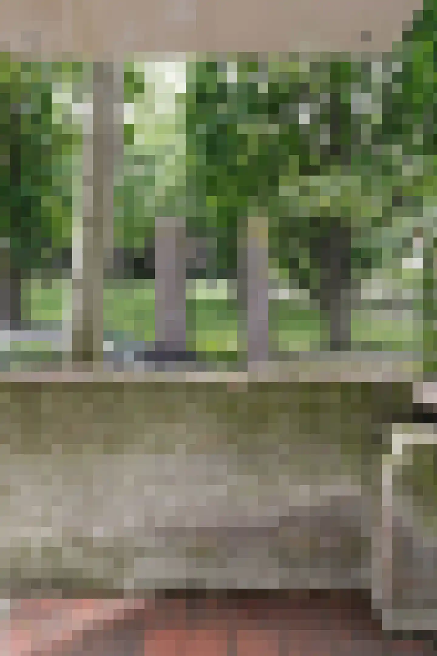 Uilenburg 32 's-Hertogenbosch thumbnail 47