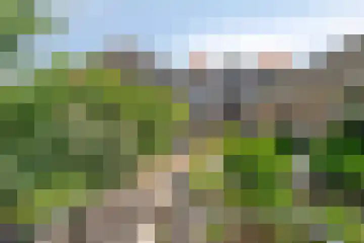 Uilenburg 34 's-Hertogenbosch thumbnail 20