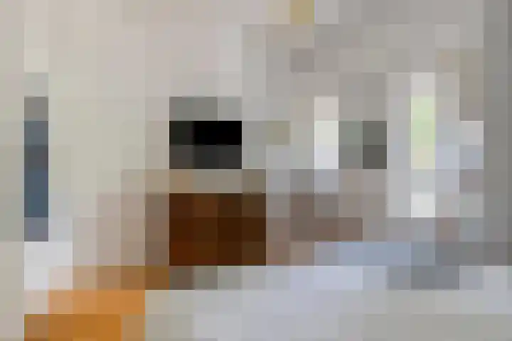 Uilenburg 34 's-Hertogenbosch thumbnail 25