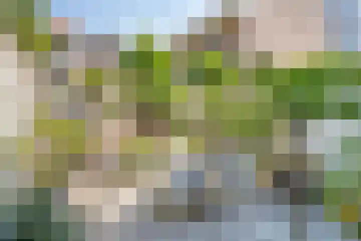 Uilenburg 34 's-Hertogenbosch thumbnail 31