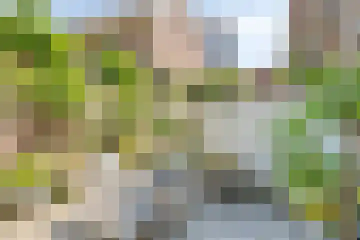 Uilenburg 34 's-Hertogenbosch thumbnail 32