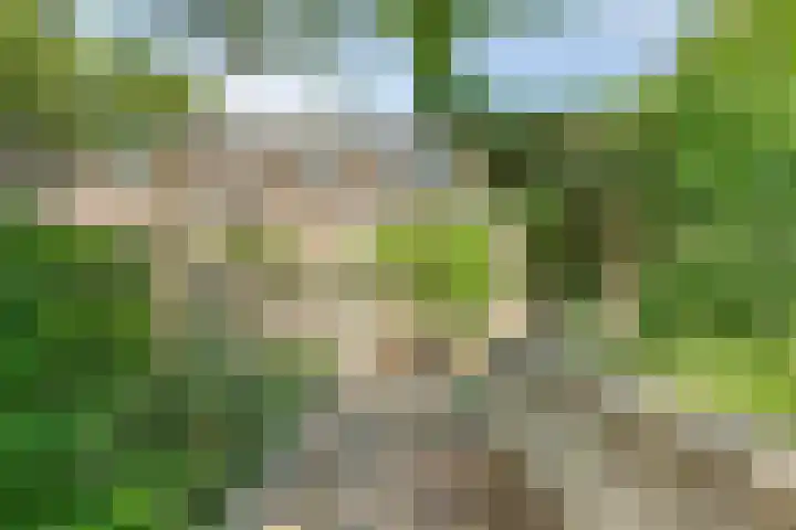 Uilenburg 34 's-Hertogenbosch thumbnail 40