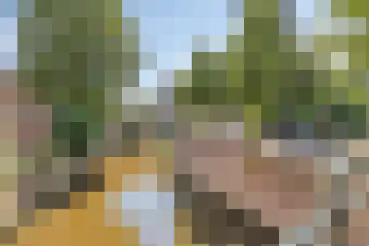 Uilenburg 34 's-Hertogenbosch thumbnail 42
