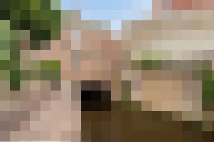 Uilenburg 34 's-Hertogenbosch thumbnail 45