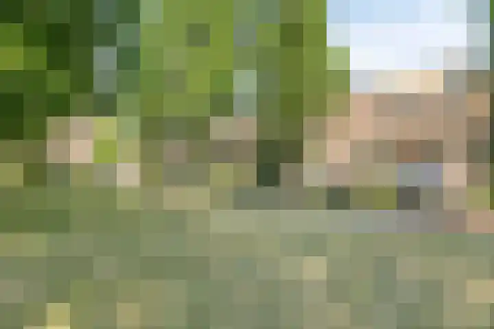 Uilenburg 34 's-Hertogenbosch thumbnail 48