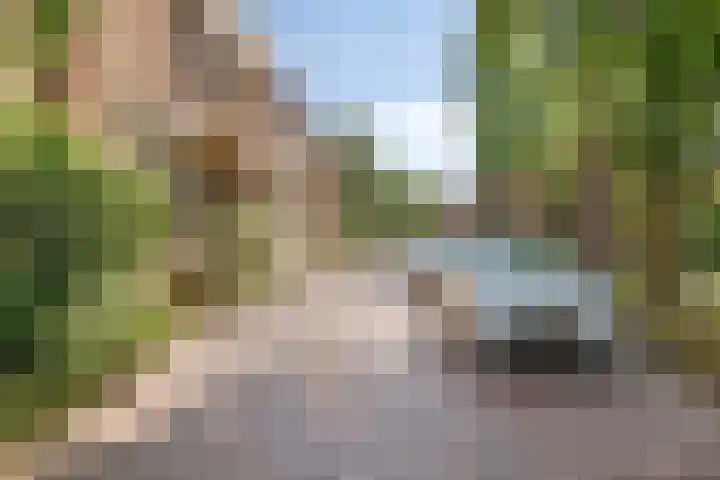 Uilenburg 34 's-Hertogenbosch thumbnail 53