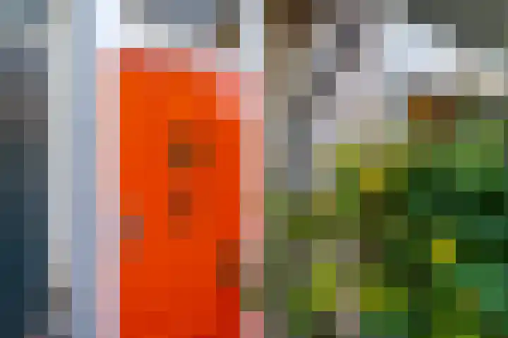 Uilenburg 5 Hedel thumbnail 10
