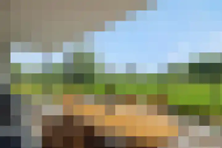 Uilenburg 5 Hedel thumbnail 11
