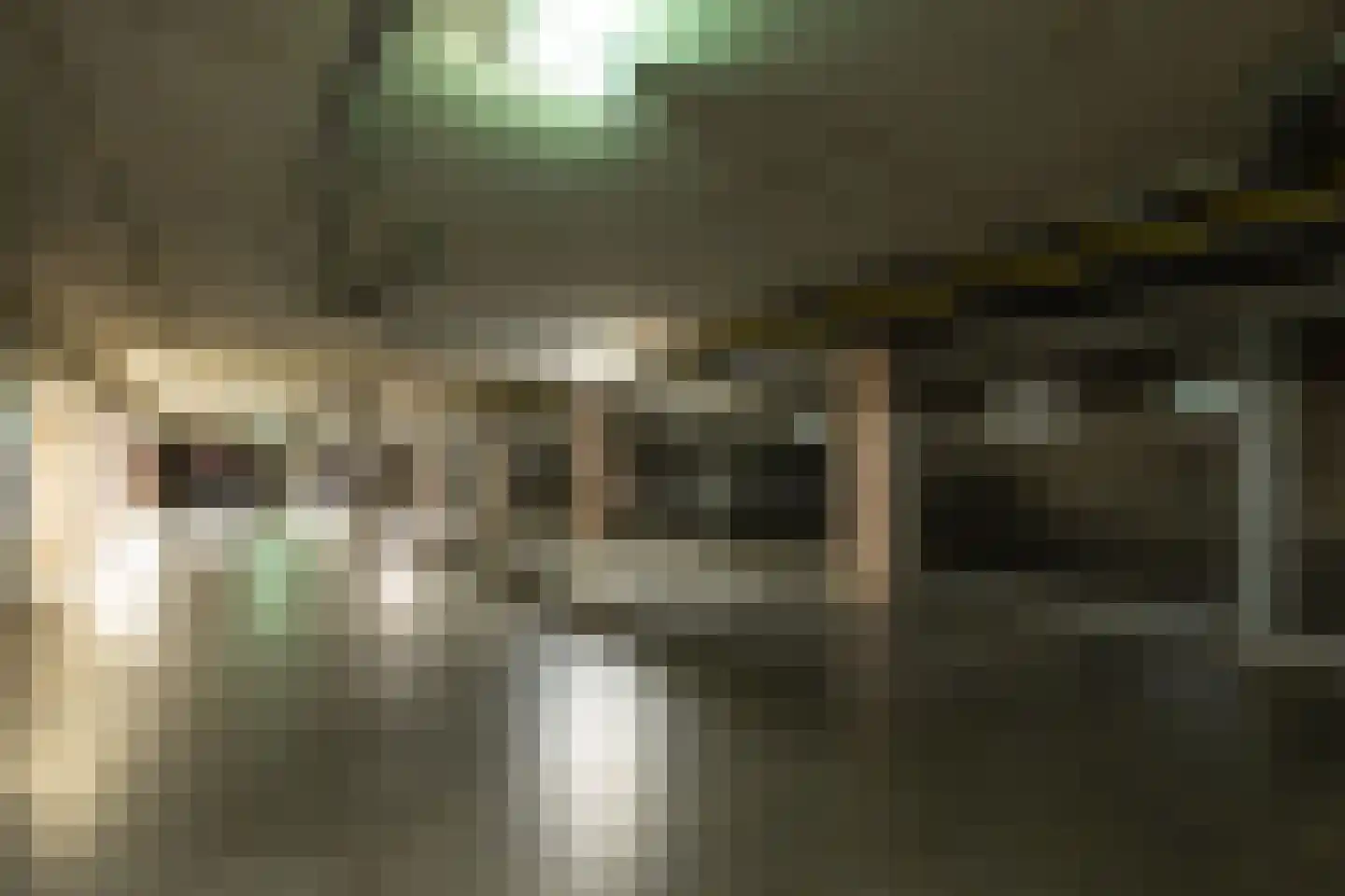 Uilenburg 67 's-Hertogenbosch thumbnail 34