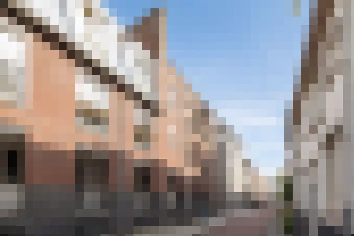 Uilenburg 67 's-Hertogenbosch thumbnail 38