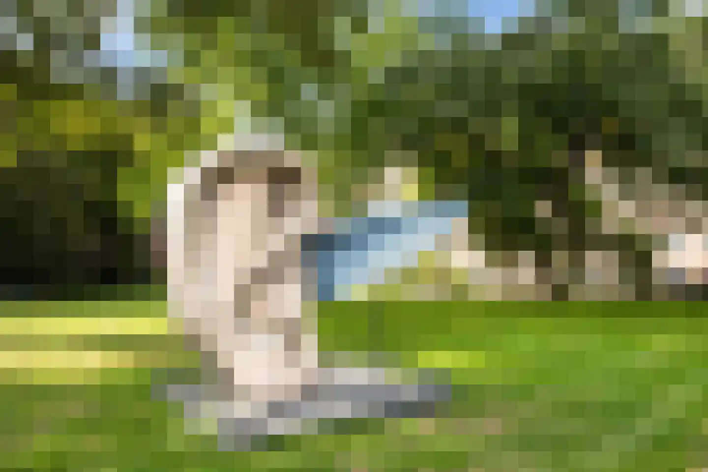 Uilenburg 67 's-Hertogenbosch thumbnail 39