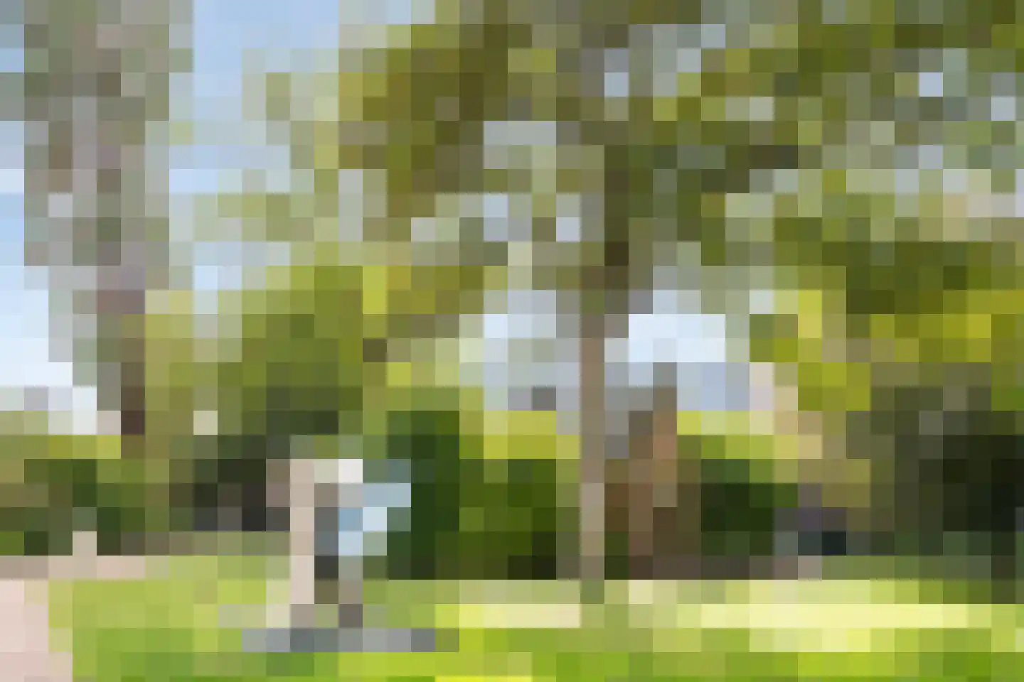 Uilenburg 67 's-Hertogenbosch thumbnail 40