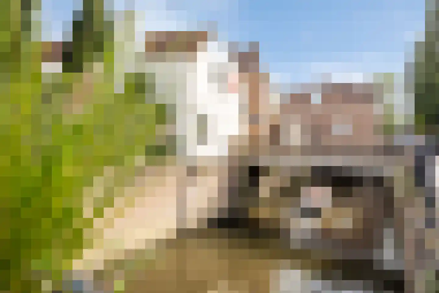 Uilenburg 67 's-Hertogenbosch thumbnail 41