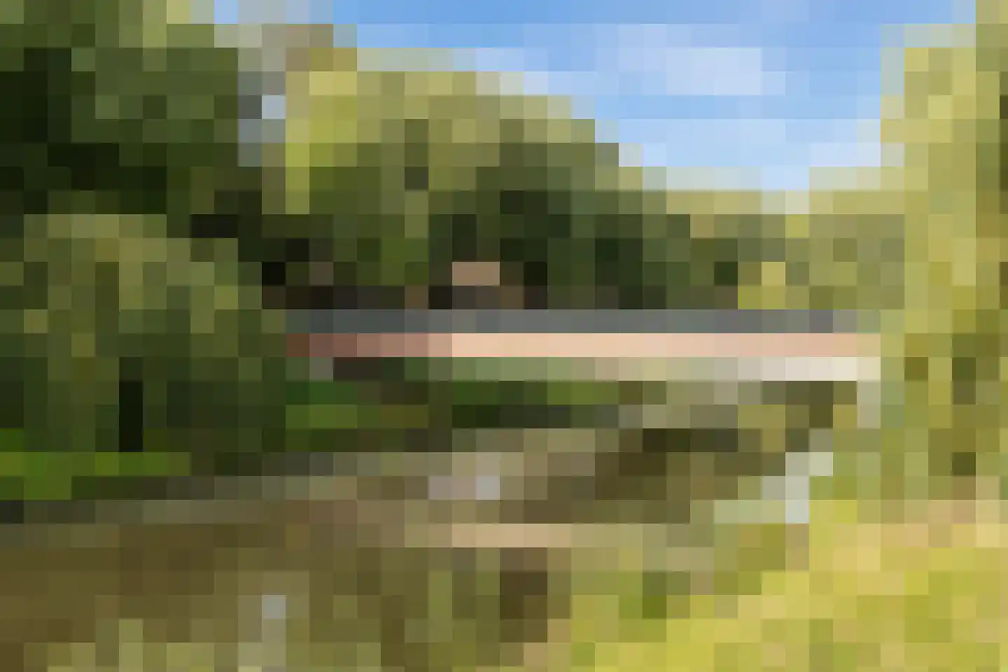 Uilenburg 67 's-Hertogenbosch thumbnail 42