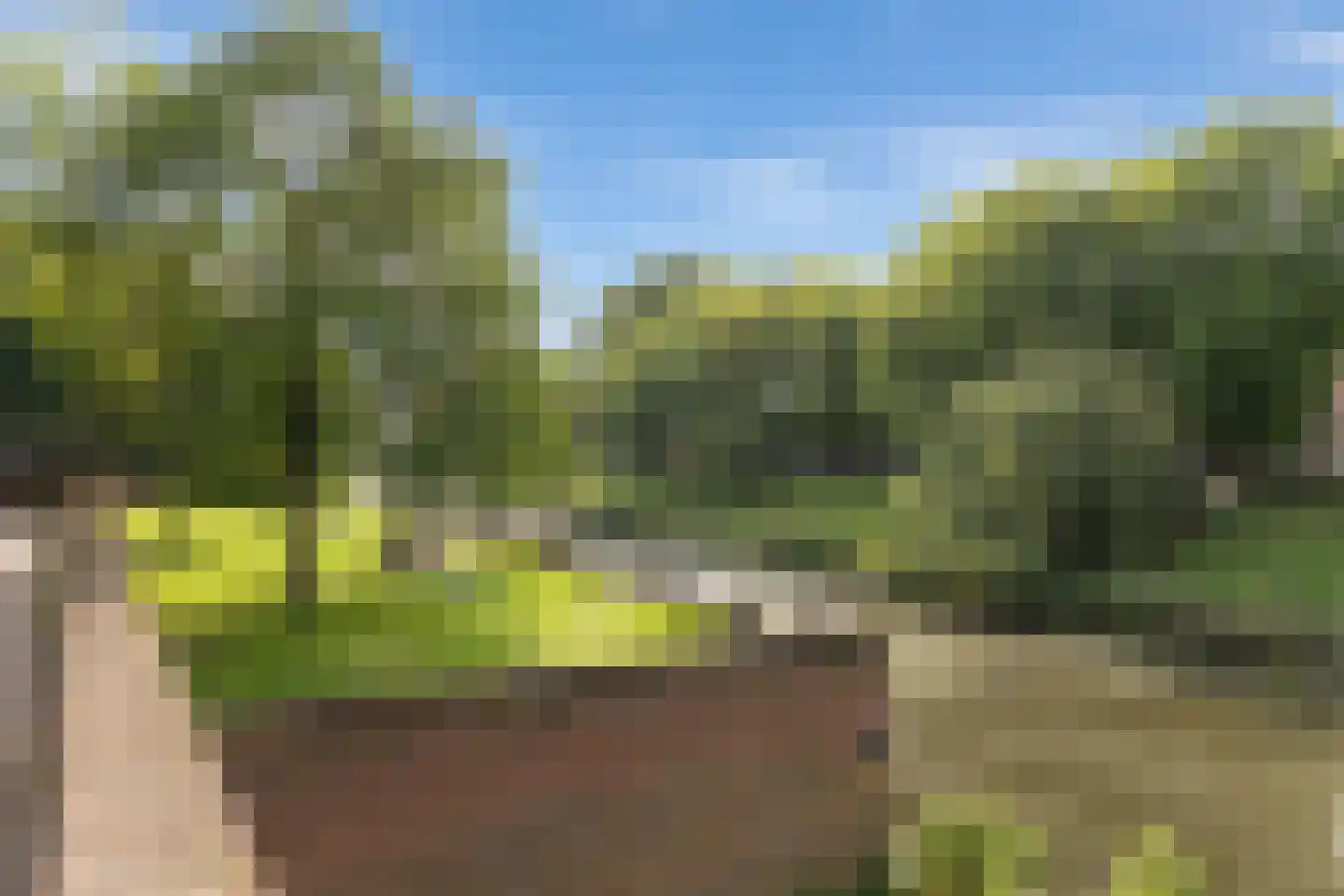 Uilenburg 67 's-Hertogenbosch thumbnail 43