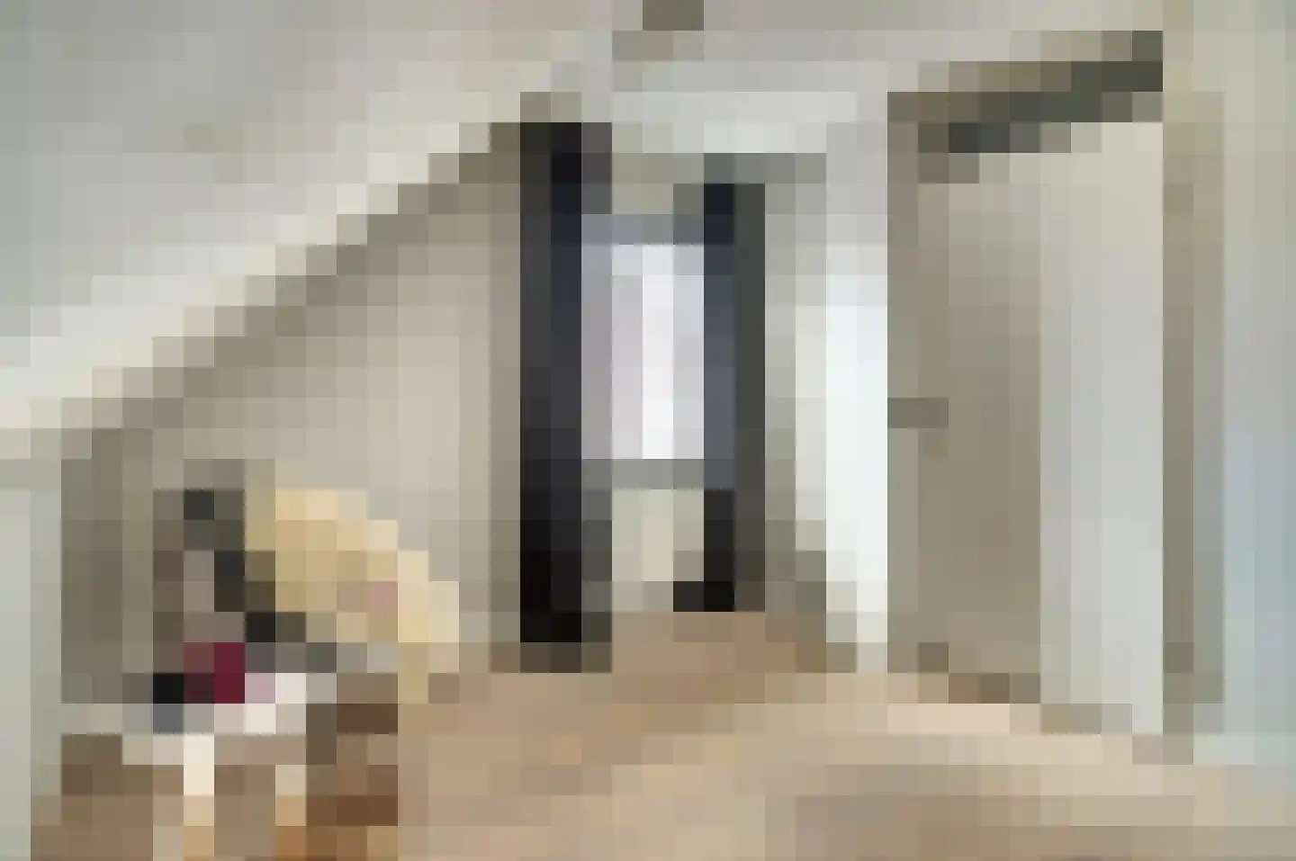 Uilenburg 7 Hilvarenbeek thumbnail 18