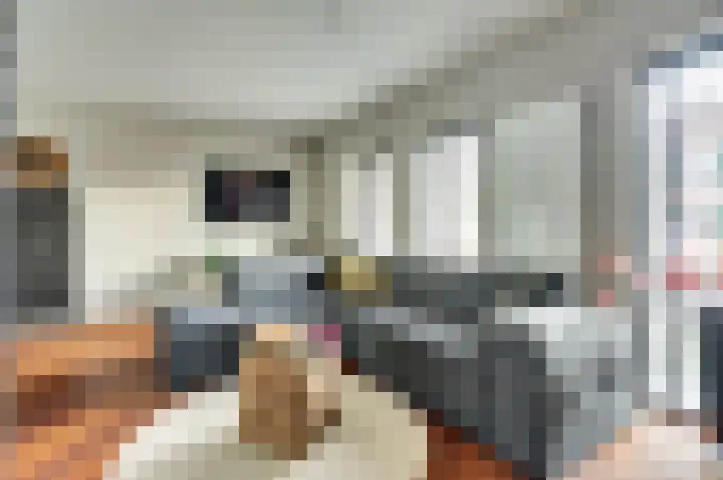 Uilenburg 7 Hilvarenbeek thumbnail 4