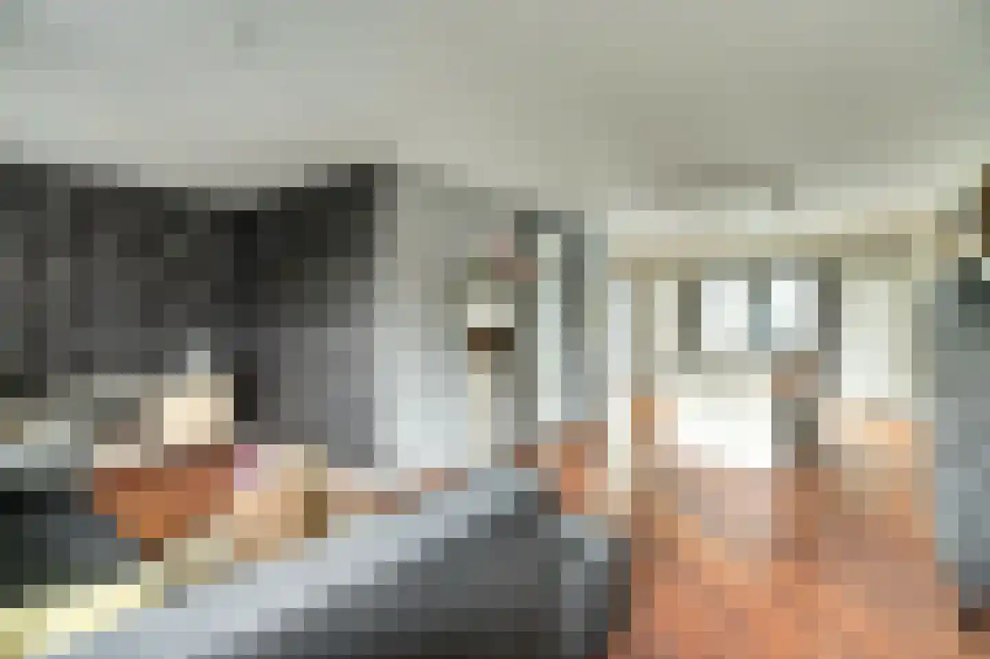 Uilenburg 7 Hilvarenbeek thumbnail 5
