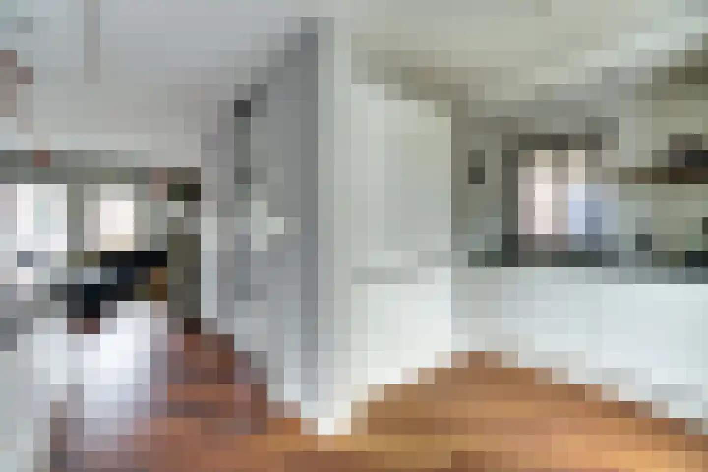 Uilenburg 7 Hilvarenbeek thumbnail 8