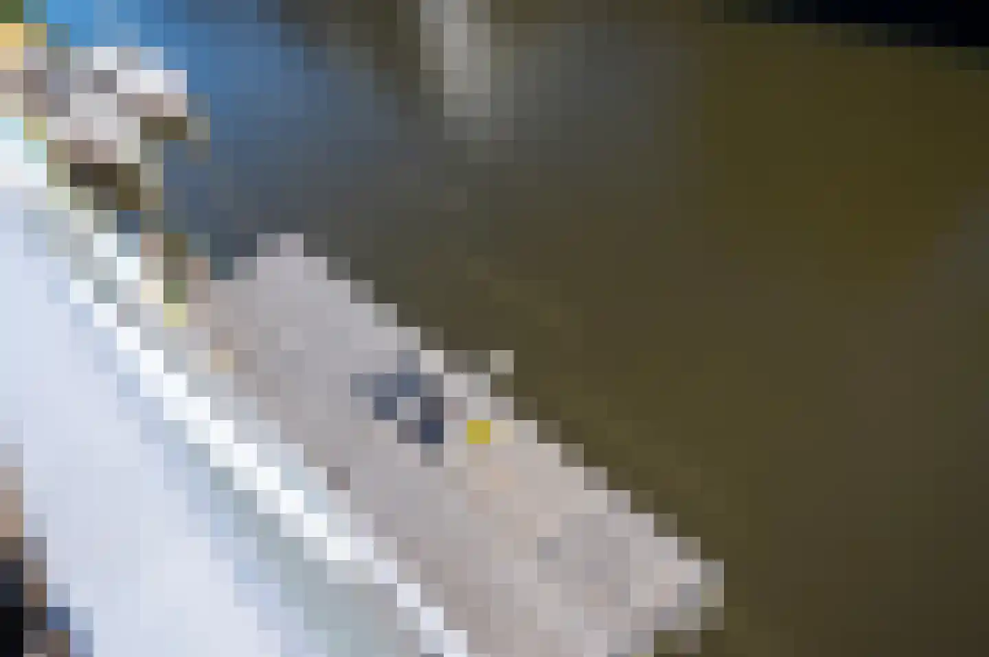 Uilenburgerwerf 48 Amsterdam thumbnail 15