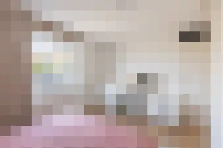 Uilenburgerwerf 56 Amsterdam thumbnail 13