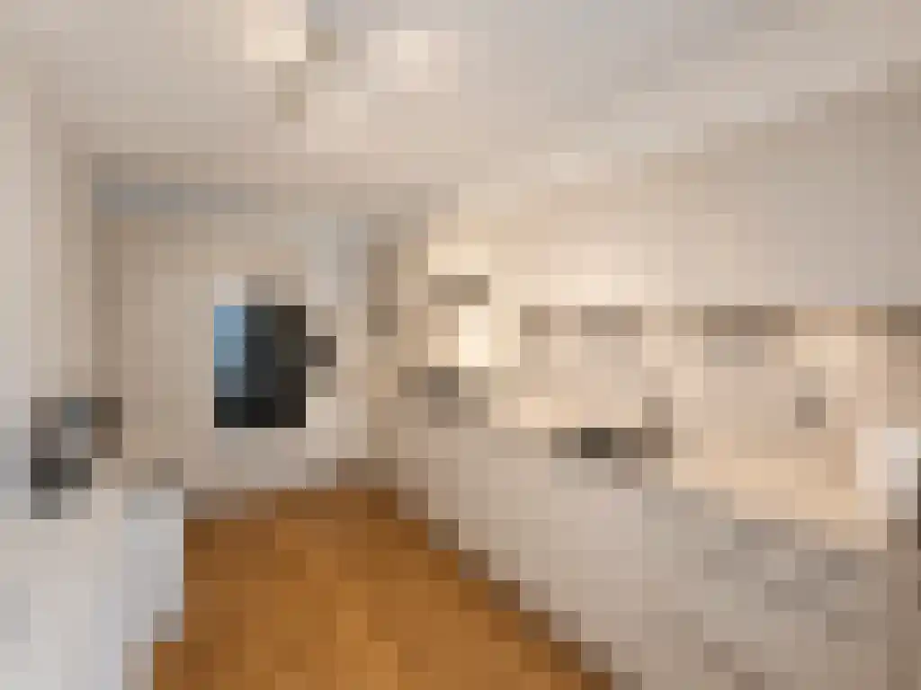 Uilenburgerwerf 59 Amsterdam thumbnail 6