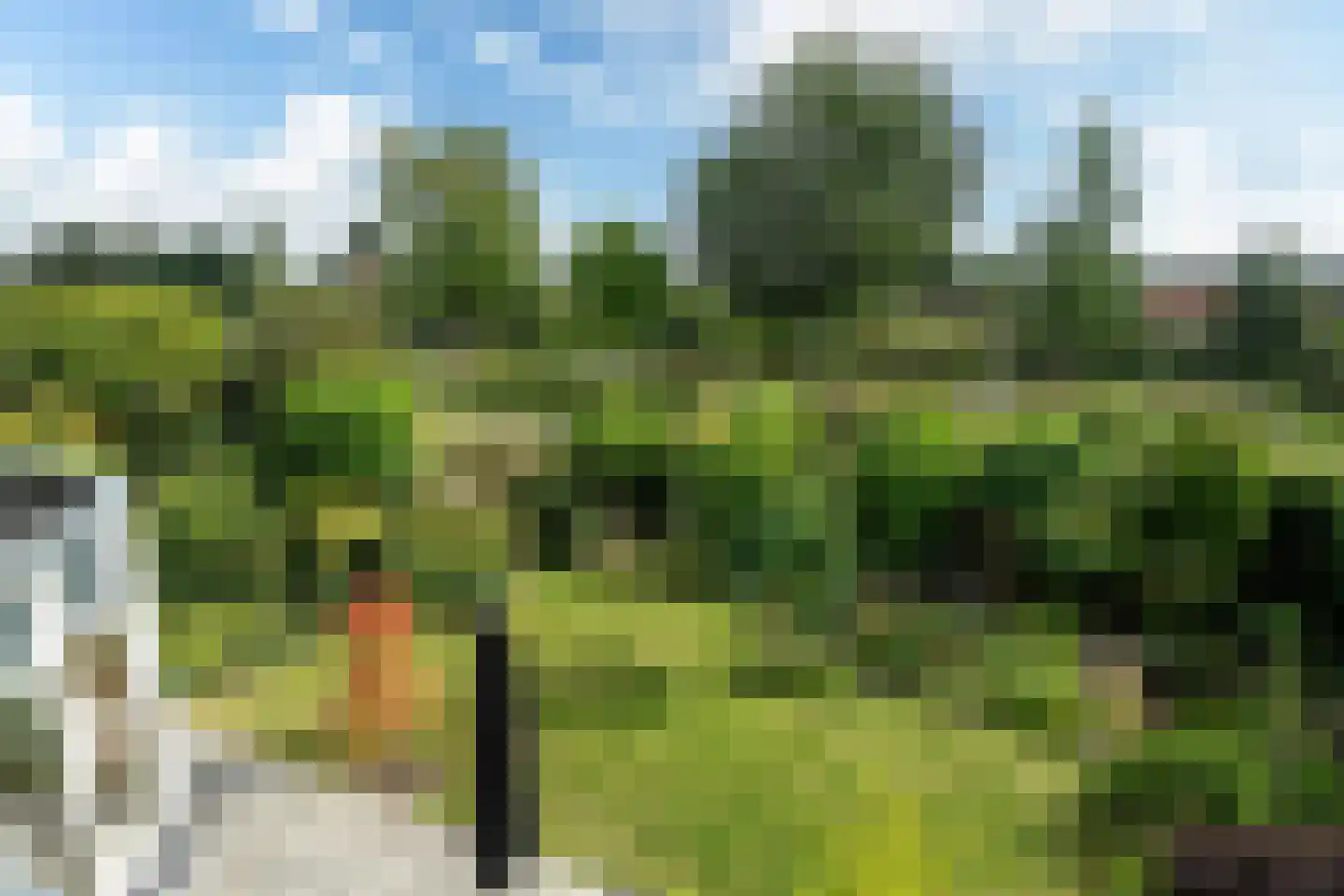 Uilenburgstate 37 Leeuwarden thumbnail 41