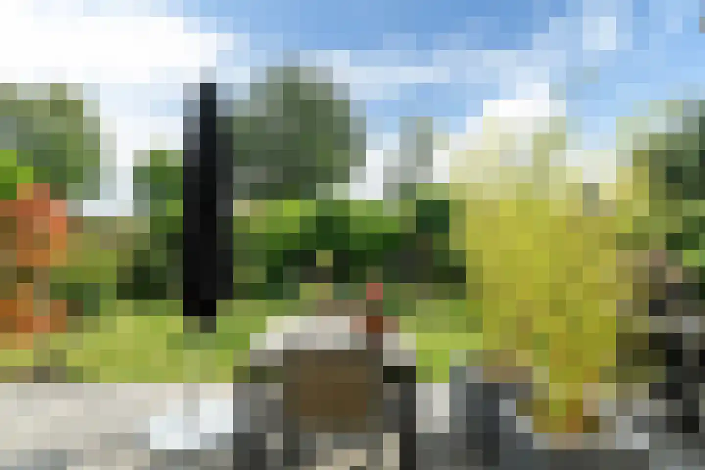 Uilenburgstate 37 Leeuwarden thumbnail 52