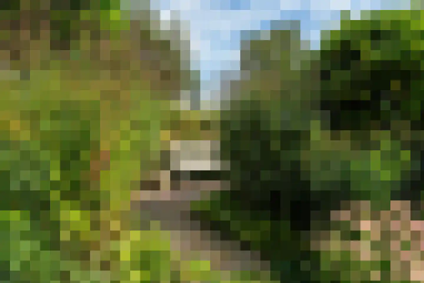 Uilenburgstate 37 Leeuwarden thumbnail 53