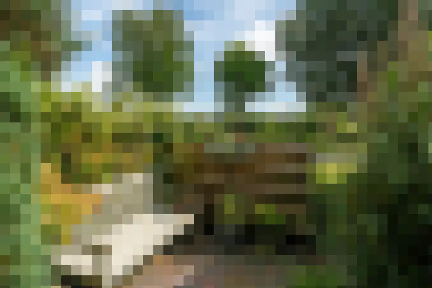 Uilenburgstate 37 Leeuwarden thumbnail 54