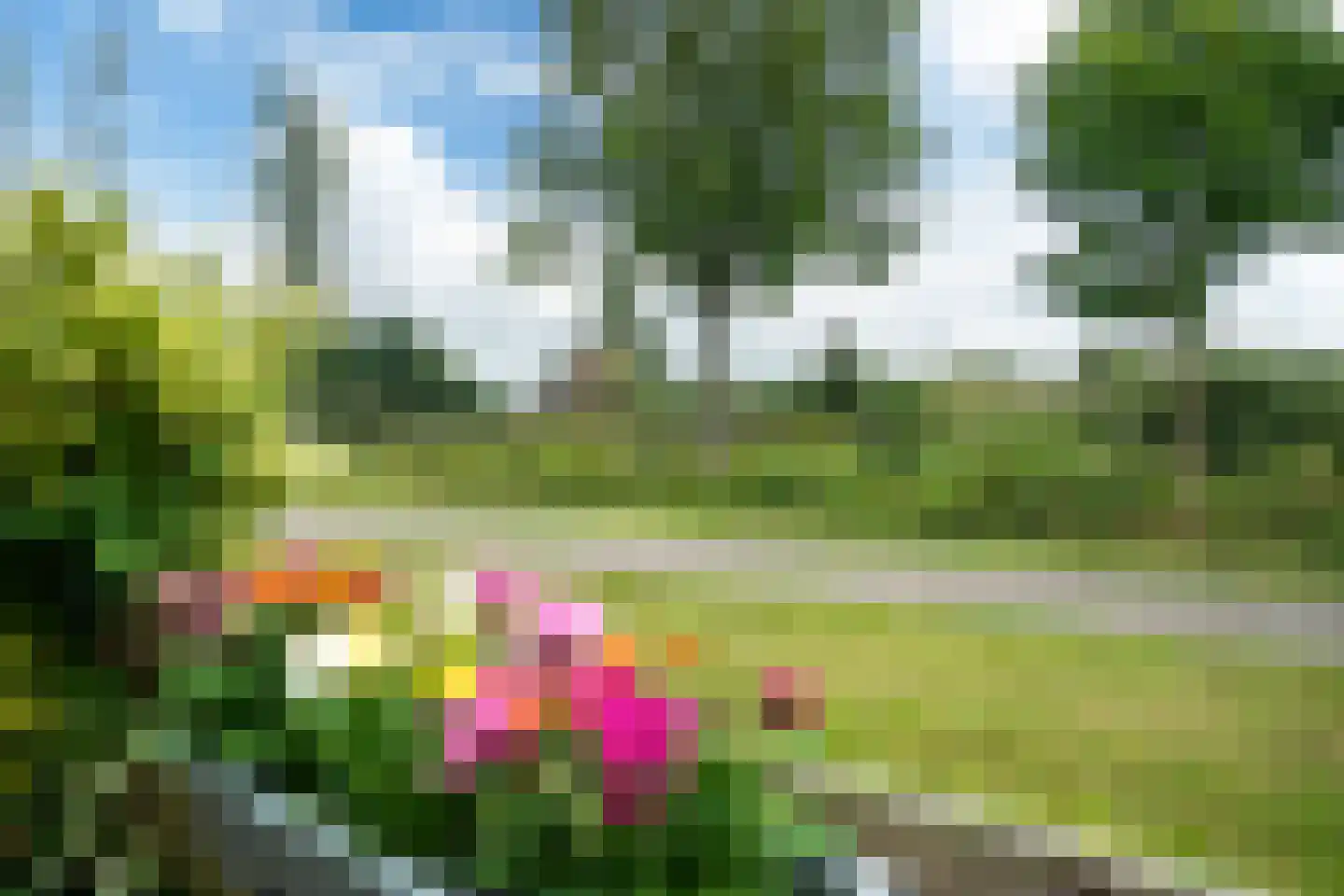 Uilenburgstate 37 Leeuwarden thumbnail 56