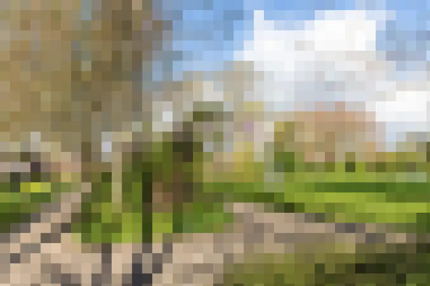 Uilendaal 27 Nieuwerkerk aan den IJssel thumbnail 48