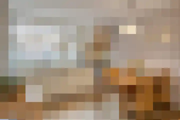 Uilendonk 16 Veghel thumbnail 11