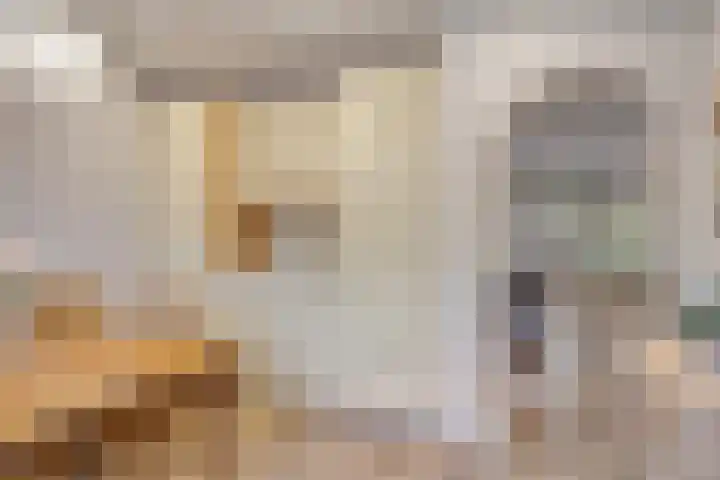 Uilendonk 16 Veghel thumbnail 12