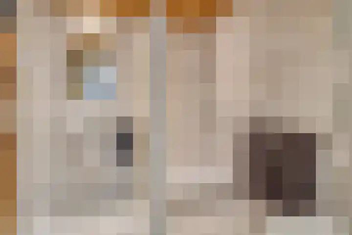 Uilendonk 16 Veghel thumbnail 14