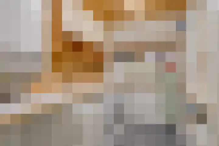 Uilendonk 16 Veghel thumbnail 17