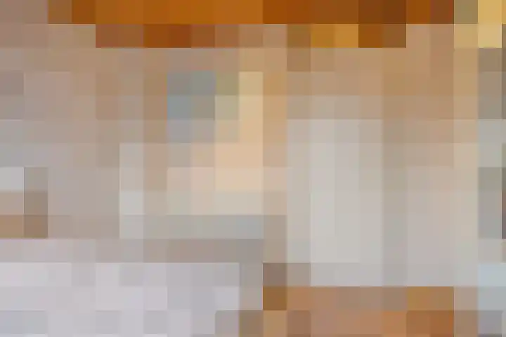 Uilendonk 16 Veghel thumbnail 19