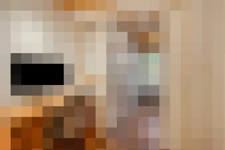 Uilendonk 16 Veghel thumbnail 20