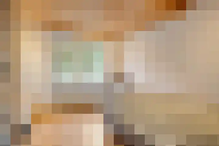 Uilendonk 16 Veghel thumbnail 22