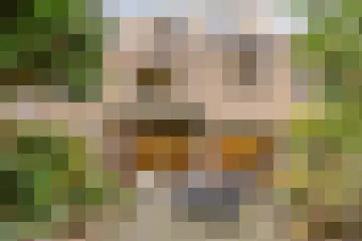 Uilendonk 16 Veghel thumbnail 27